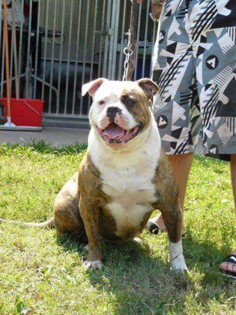 E'Kim mère d' Hadés